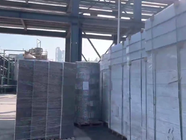 四川福華集團  二乙酯項目，塔內件，填料